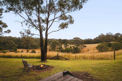 a fire pit in a field with a tree and a chair at One Gaea by Tiny Away in Rainbow Flat