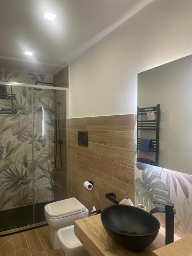 a bathroom with a sink and a toilet and a shower at La Via delle Rose in Alimena