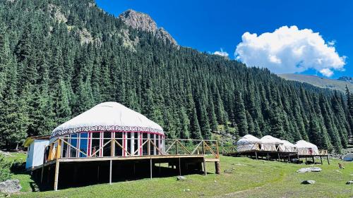 a group of domes in a field next to a mountain at OrdoLife in Mineralʼnyy Istochnik Altyn-Arasan