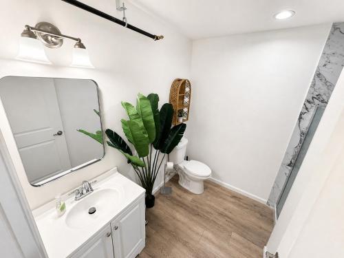 a bathroom with a sink and a mirror at Stylish 2BR Retreat - Concrete & Canopy in St. Charles