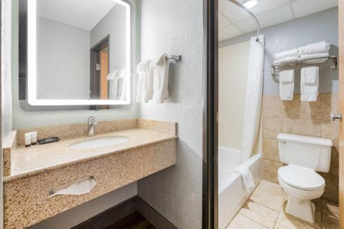 a bathroom with a sink and a toilet and a mirror at AmericInn by Wyndham Albert Lea in Albert Lea