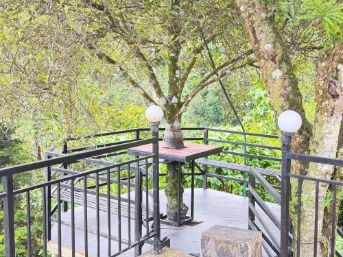 a black fence with a table and a tree at Happy Days by 3R Munnar in Munnar