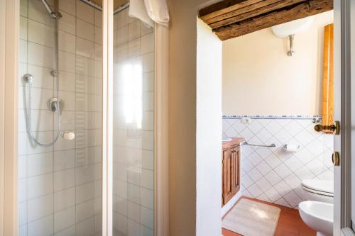 a bathroom with a shower and a toilet at CASA LORY Poggio Murella in Poggio Murella