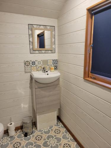 a bathroom with a sink and a mirror at roulotte en bois in Ranton