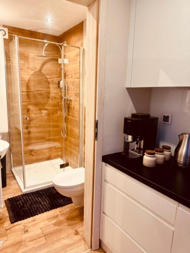 a bathroom with a shower and a toilet and a sink at Jacuzzi Przemyska in Krakow