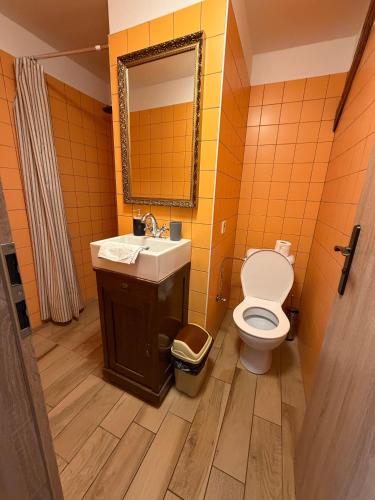 a bathroom with a toilet and a sink and a mirror at Penzion Ambrozie in Seč