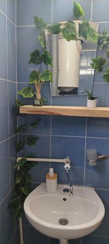 a bathroom with a sink and some plants on the wall at Camp Krivace in Pljevlja