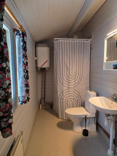 a small bathroom with a toilet and a sink at Lidens Stugby in Vaggeryd