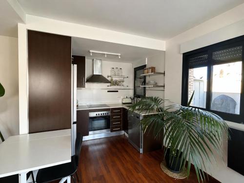 Beautiful and Cozy Penthouse in Alicante
