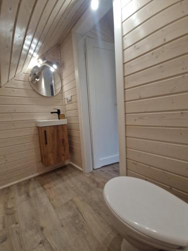 a bathroom with a white toilet and a sink at Stodoła na Kaszubach in Gowidlino