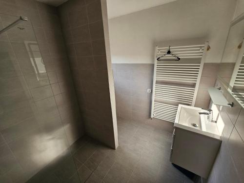 a bathroom with a sink and a shower at Apartment Nová Ves 26 in Olešník