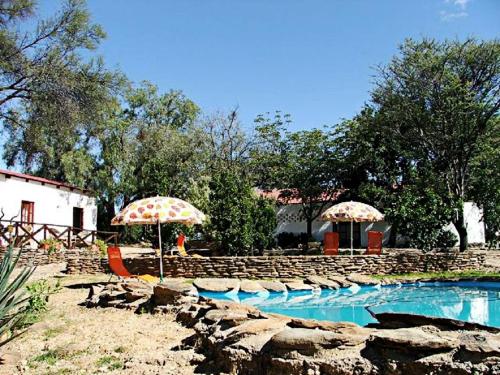 a swimming pool with two umbrellas and chairs next to at Halala Africa Lodge - Eagle Rock Lodge in Malabar