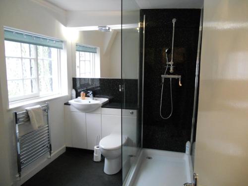 a bathroom with a shower and a toilet and a sink at Yarm View Cottages in Yarm