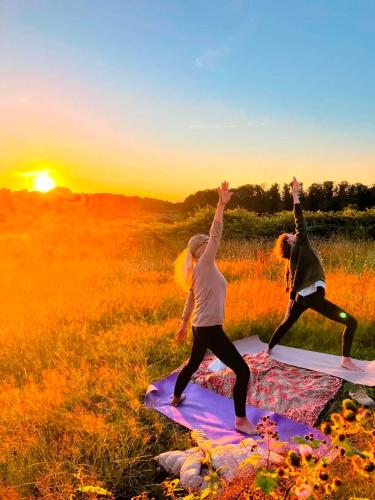 two people doing yoga on a blanket in a field at Sunset and Swallows in Eaton Bishop