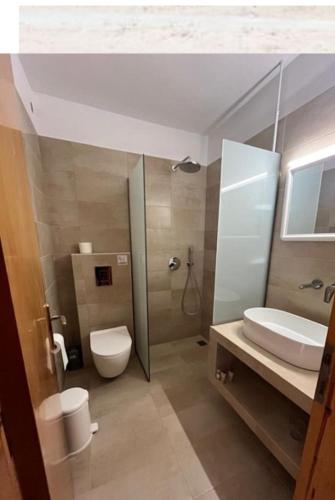a bathroom with a toilet and a sink and a shower at Katerina & Efi Apartments in Mastihari