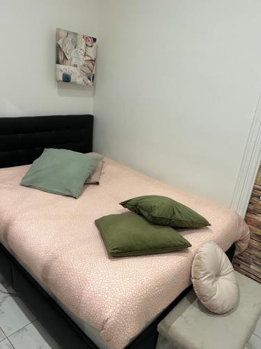 a bed with two green pillows on it at Souad in Saint-Vallier