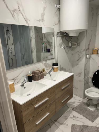 a bathroom with a sink and a mirror and a toilet at Souad in Saint-Vallier
