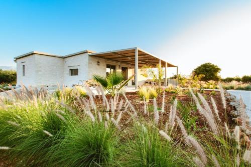 a house in the middle of a field with tall grass at Sky And Stone Private Villa in Kathiana