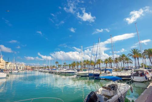 Puerto Marina Island