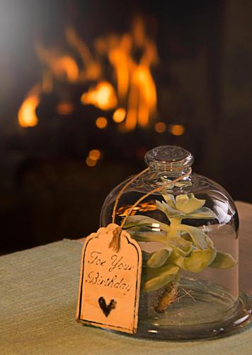 a glass jar with a plant in it with a sign at Lallapanzi Country Stay in Ermelo