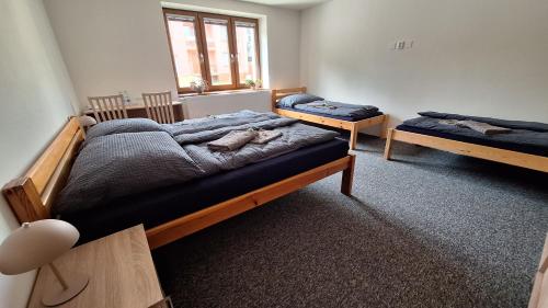 a bedroom with two beds and a window at Ubytování U Včelek in Horní Dubňany
