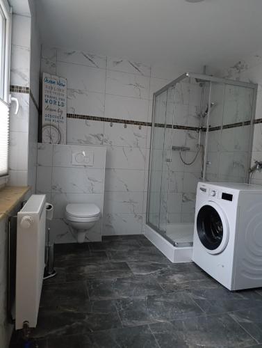 a bathroom with a washing machine and a toilet at Landhaus Leopold in Sanitz