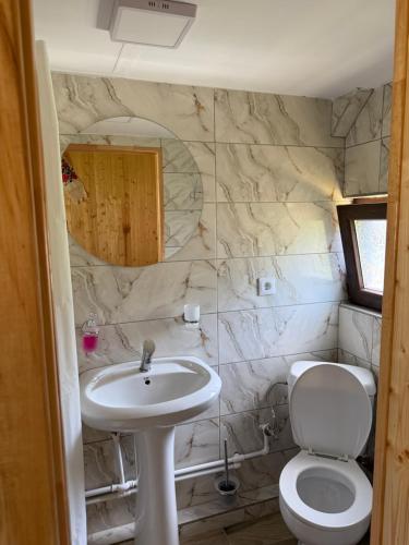 a bathroom with a sink and a toilet at Domeniul Ursului in Vadu Izei