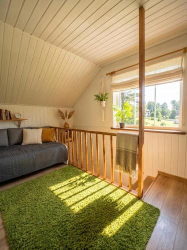 a living room with a couch and a green rug at Holiday Homes Eliza in Druskininkai