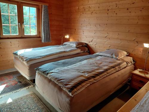 two beds in a room with wooden walls at Gemütliche 3 Zimmer Wohnung in Lenzerheide in Lenzerheide