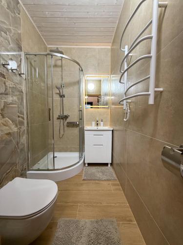 a bathroom with a shower and a toilet and a sink at Bukovets' in Yaremche