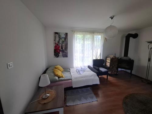 a living room with a bed and a window at DOMEK na górce u Celiny in Dargobądz