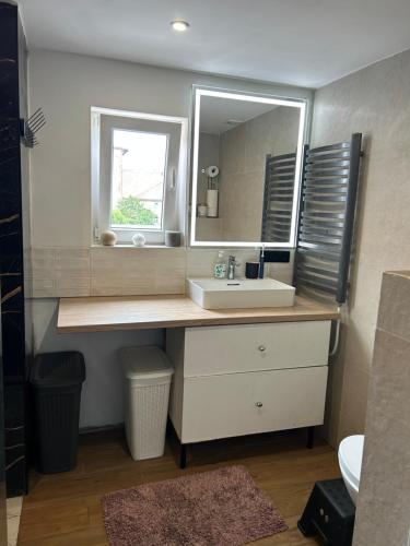 a bathroom with a sink and a mirror at Dolna 64 in Strzegom
