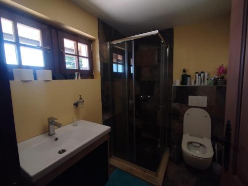 a bathroom with a shower and a toilet and a sink at Dome home tent Povlen in Taor