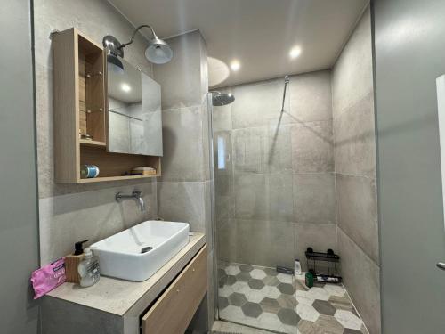 a bathroom with a sink and a shower at Emmanuel INN 4 in Drancy