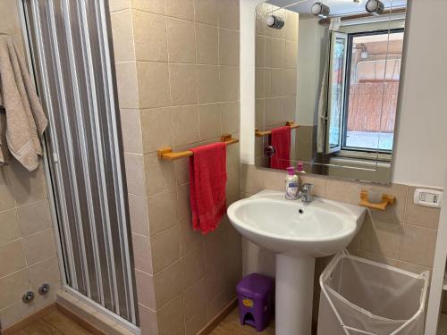 a bathroom with a sink and a mirror and a shower at Giorno&Notte Colleferro in Colleferro