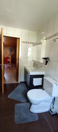 a bathroom with a white toilet and a sink at Apartmenthaus Kreuzbuche in Flühli