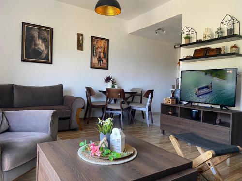 a living room with a couch and a tv at Moun2 in Mavrovo