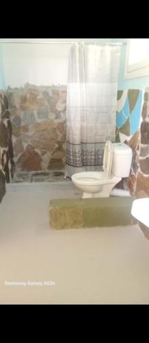 a bathroom with a toilet and a stone wall at Mary Mary! in Agios Kirykos