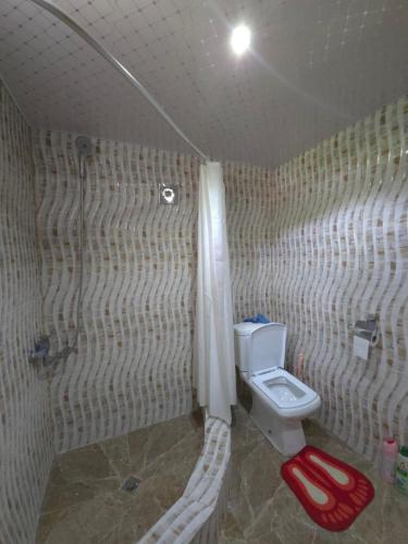 a small bathroom with a toilet and a shower at Guesthouse Hikari Racha in Bostana