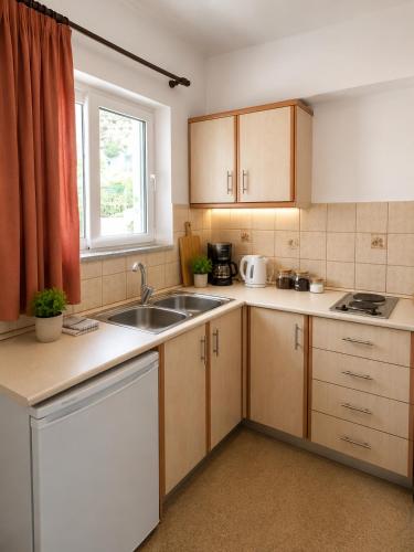 a kitchen with wooden cabinets and a sink and a window at Antonios Apartments Stegna in Archangelos