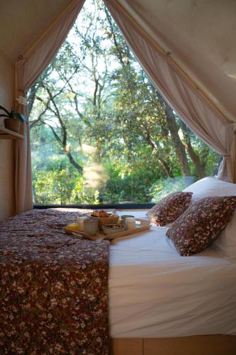 a bedroom with a bed with a large window at La Tiny sous les pins in Noves