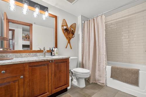 a bathroom with a sink toilet and a mirror at Powderhorn Suite in Solitude
