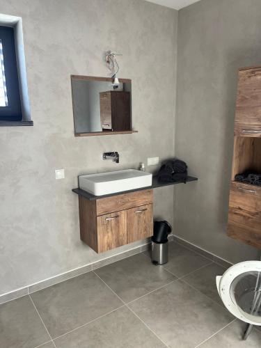 a bathroom with a sink and a mirror at Apartment Naturblick in Strem