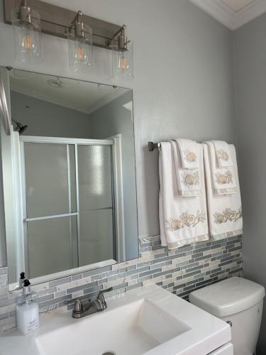 a bathroom with a sink and a mirror and a toilet at Lake Front, Beach Retreat in Fort Myers Beach
