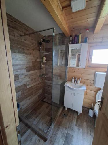 a bathroom with a shower and a sink at Kuća Pored Sunca in Kruševac
