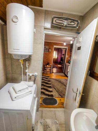 a small bathroom with a toilet and a sink at Smestaj Bojanine Vode in Niš