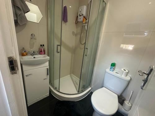 a bathroom with a shower and a toilet and a sink at Wimbledon Family Studio Flat 1 in London