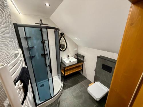 a bathroom with a shower and a sink and a toilet at Gorczański Wierch in Maniowy