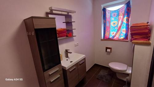 a bathroom with a sink and a toilet and a mirror at Sunhill Apartamente in Karrösten