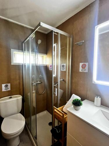 a bathroom with a shower and a toilet and a sink at Casa Pepe in Ourense